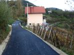 Zavr�etak asfaltiranja vinskih cesta u Plemen��ini 